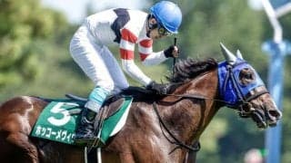 【阪神ジャンプS枠順確定】ホッコーメヴィウスは5枠8番、ゲインスプレマシーは1枠1番