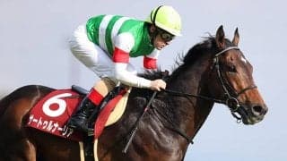 日米オークスを制した名牝の”最後の仔”が入厩 兄にGI馬3頭