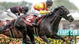 秋華賞直行のエリカヴィータが帰厩後初追い切り 国枝師「レースまでに一度は福永騎手に」