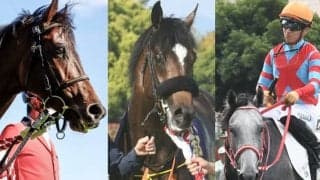 三冠馬の全弟がクラシックトライアル挑戦 青葉賞馬や京都新聞杯覇者も登場/神戸新聞杯想定馬