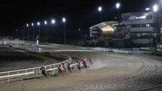 地方競馬でまたしても性別の間違い セン馬が牡馬として出走