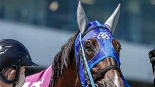 【今日の注目ポイント】3日間開催初日　中京で阪神ジャンプS