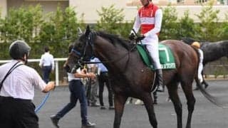 セントライト記念は多くの馬がマークする人気馬の前を行く「逃げる馬」の粘り込みに要注意