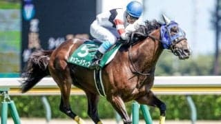 【阪神ジャンプS予想】舞台は中京競馬場3300mコース　先行力は不可欠な一戦