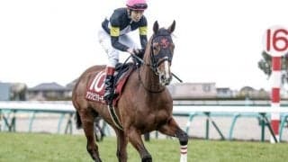 【セントライト記念枠順確定】アスクビクターモアは5枠7番、オニャンコポンは5枠6番