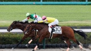 【中山4R新馬戦結果】キンシャサノキセキ産駒イルディヴィーノが逃げ切りV