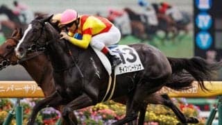 【中山5R新馬戦結果】ティファニードンナが人気2頭の追い比べを制す