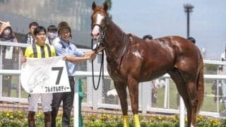 中京9Rでゲートを潜り抜けフルメタルボディーが放馬 その他9月17日の変更情報一覧