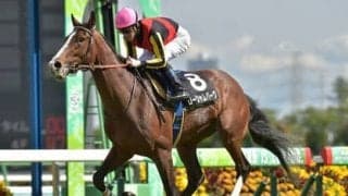 セントライト記念、穴党記者が期待するのは優位な「クラシック組」ではない伏兵２頭の大激走