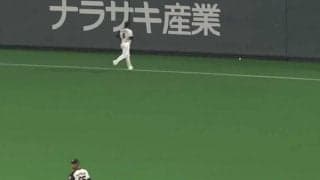 本塁→左翼→本塁→無人の外野　防げなかった無情の“ボール大移動”が「超激レア」