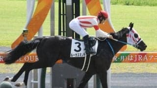 【中京4R新馬戦結果】ブービー人気のルーカスミノルが押し切って新馬勝ち
