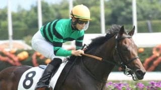 【中京5R新馬戦結果】ハーツコンチェルトが楽に抜け出し8馬身差圧勝