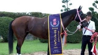 【浦和・オーバルスプリント枠順確定】シャマルは8枠11番、ティーズダンクは5枠5番