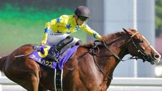 【ローズS・馬体重】アートハウスは476kg(0)、サリエラは420kg(-2)