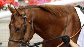 580kg超の巨体で5馬身差の圧勝！ 良血3歳馬が古馬撃破