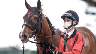 【セントライト記念予想】ごまかしの利かない中山2200mコース　世代限定の馬齢重量戦