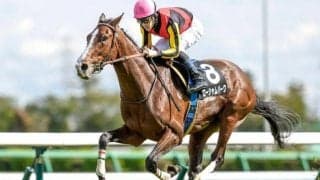 【セントライト記念予想】過去10年で勝っている騎手は5人だけ？ 関東馬優勢でも狙うべき関西馬の条件とは？
