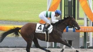 【中京4R新馬戦結果】ドレフォン産駒の牝馬テレパシーが抜け出してデビューV