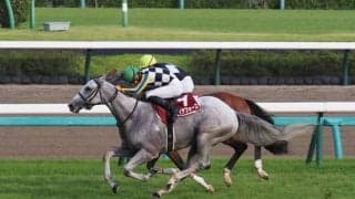 【セントライト記念】ガイアフォースが重賞初制覇