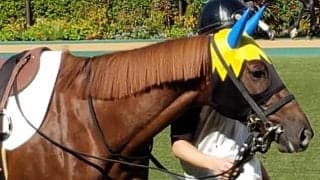 荒天の中京最終で単勝万馬券！ ”最低人気の未勝利馬”が1勝クラスで初白星