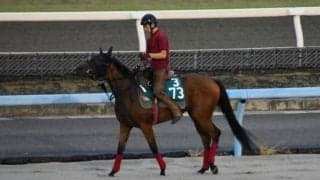 母はダート交流重賞6勝のマラマがデビュー/関西馬メイクデビュー情報
