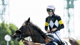 【神戸新聞杯】アスクワイルドモア、ジャスティンパレスらが登録