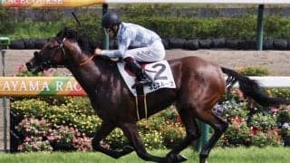 【新馬/中山6R】良血ネビュルーズが3馬身差圧勝