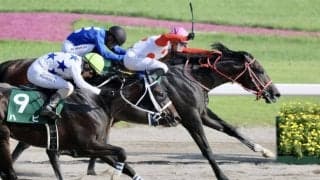 WIN5は320万円超！ホーが重賞初勝利