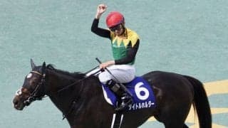 横山和生騎手がロンシャンで初騎乗、8着