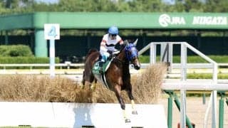 【新潟ジャンプS】ホッコーメヴィウスが逃げ切り！人馬ともに重賞初V