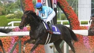 菊花賞TR神戸新聞杯、好メンバー激突のオールカマー/今週の競馬界の見どころ