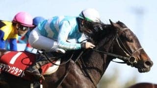 【オールカマー見どころ】デアリングタクト、ヴェルトライゼンデら好メンバーが激突