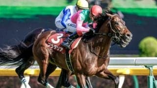 【神戸新聞杯見どころ】ダービー5着馬プラダリアが人気の中心