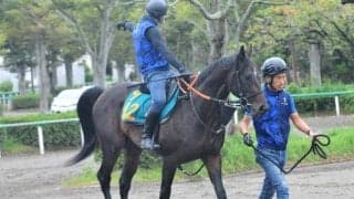 祖母は秋華賞馬ブラックエンブレム 良血馬ポーラライツがデビュー/関東馬メイクデビュー情報
