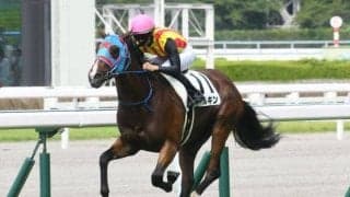 中山芝1200mと相性のいいダイワメジャー 今週末のカンナSに注目