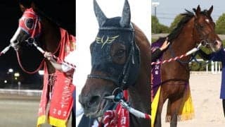 中央、地方の強豪馬が大井ダ1200mで激突！ 東京盃(JpnII)選定馬の一覧