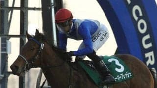 【大井・ゴールドジュニア枠順】南関東最初の2歳重賞　素質溢れる12頭が出走