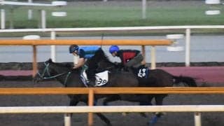 【神戸新聞杯想定騎手】プラダリアは池添謙一騎手、ヴェローナシチーは団野大成騎手