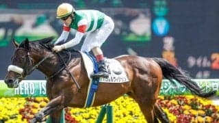 【神戸新聞杯展望】菊花賞トライアル、舞台の中京芝2200mは末脚比べになりやすい