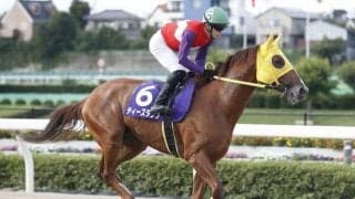 【浦和・オーバルスプリント注目馬】シャマルとティーズダンクが再戦、3歳馬リメイクも加わり激戦必至