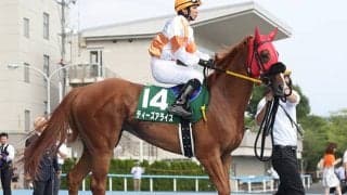 【地方競馬】ホッカイドウ競馬の松井伸也騎手が通算800勝を達成