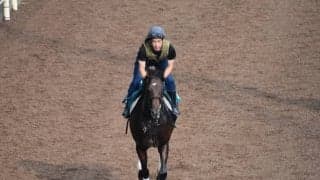 トラヴォルジェンテなど、先週のゲート試験/栗東トレセンニュース