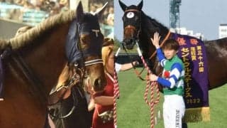 【スプリンターズS】特別登録馬のレーティングが発表 シュネルマイスターが119ポンド獲得で第1位、上位5頭が優先出走対象に