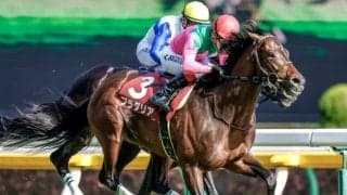 【神戸新聞杯予想オッズ】プラダリアが予想1番人気