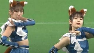 「衣装も踊りも可愛い」　チアがしっぽフリフリ…きつね“本家”とのコラボが大爆発