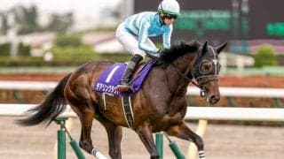 【オールカマー予想オッズ】デアリングタクトが予想1番人気