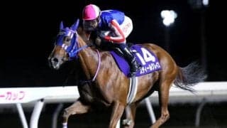 【門別・リリーC結果】スティールグレイスが後続に3馬身差を付け重賞連勝