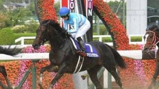 【オールカマー予想】“穴党”AIが下すデアリングタクトの評価はまさかの…