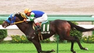 ウマ娘で描かれる全力少女・ツインターボ。G I未勝利ながらも、オールカマーで見せた逃げっぷりに今もファンは魅了される