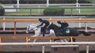 ソダシ、府中牝馬S追い切り速報/栗東トレセンニュース